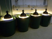 Long-term mesocosm experiment for studying plankton dynamics